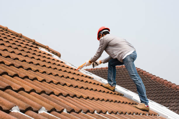 Best Emergency Roof Repair Services  in USA